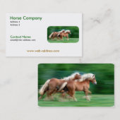 Palominoの名刺の競争 名刺 (正面/裏面)