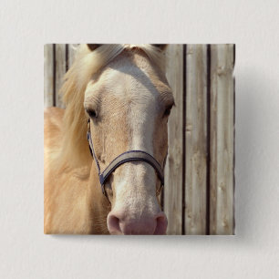 Palominoの子馬の正方形Pin 缶バッジ