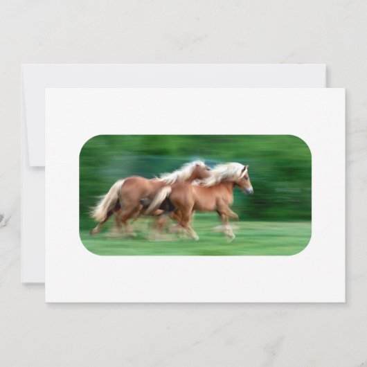 Palominoの招待状の競争 招待状 (正面)