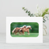 Palominoの招待状の競争 招待状 (スタンド正面)