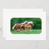 Palominoの招待状の競争 招待状 (正面/裏面)