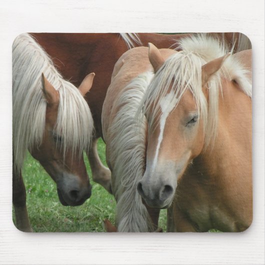 Palominoの群れのマウスパッド マウスパッド (正面)