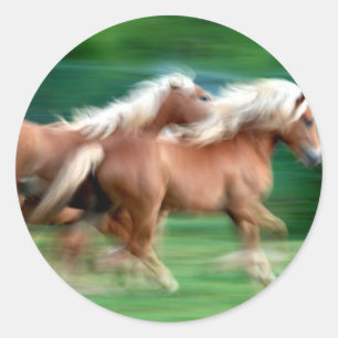 Palominoの馬のステッカーの競争 ラウンドシール