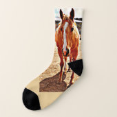Palominoの馬のソックス ソックス (左外側)
