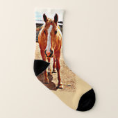 Palominoの馬のソックス ソックス (右外側)