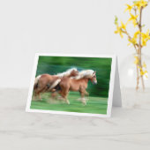 Palominoの馬の挨拶状の競争 カード (黄色い花)