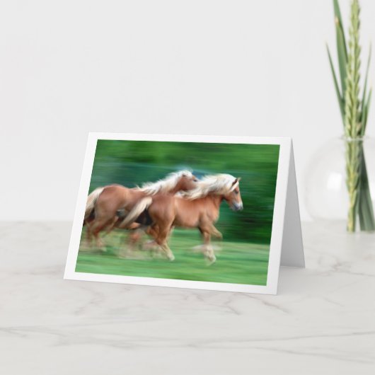 Palominoの馬の挨拶状の競争 カード (正面)