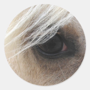 Palominoの馬の目 ラウンドシール