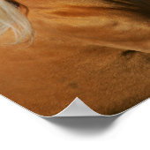 Palomino Tennesee Walking Horse Stallion ポスター (角)