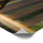 Palomino Tennessee Walker Stallion Rearing ポスター (角)