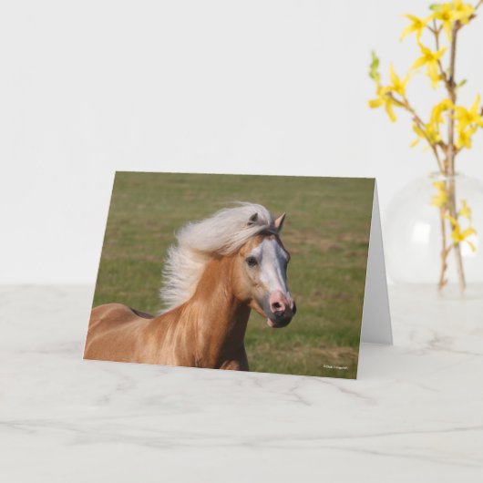 Palomino Welsh Pony Headhot Mane Flowing カード (黄色い花)