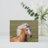 Palomino Welsh Pony Headhot Mane Flowing ポストカード (スタンド正面)