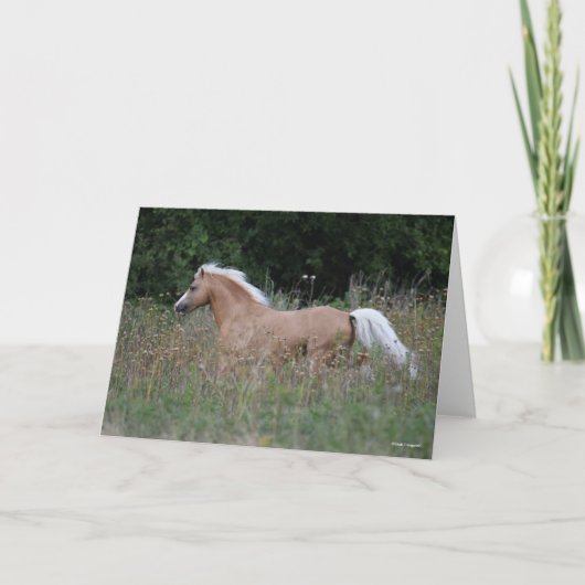Palomino Welsh Pony Running In Long Grass カード (正面)