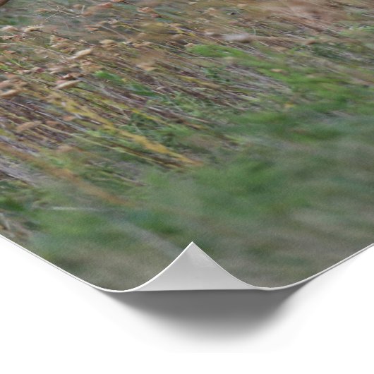 Palomino Welsh Pony Running In Long Grass ポスター (角)