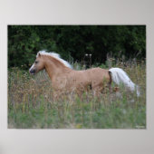 Palomino Welsh Pony Running In Long Grass ポスター (正面)