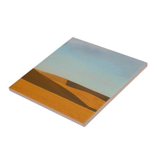 Palouseの地域の金小麦畑 タイル (側面)