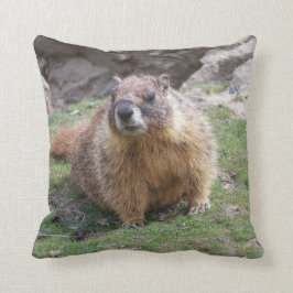 Palouse枕からのMarmotは州立公園の落ちます クッション