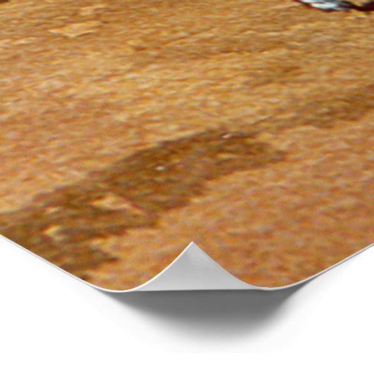 PALSバイシャロンSHARPE ポスター (角)