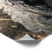 Palsプリント ポスター (角)