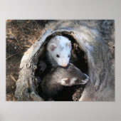 Palsプリント ポスター (正面)