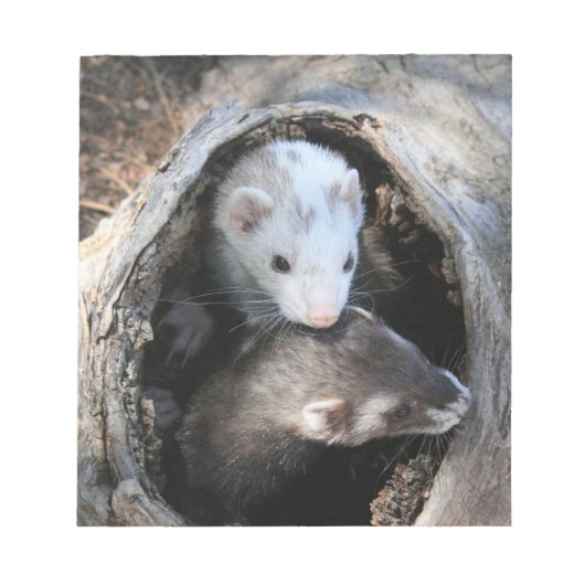 Palsメモ帳 ノートパッド (正面)