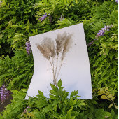 Pampas Grass ポスター