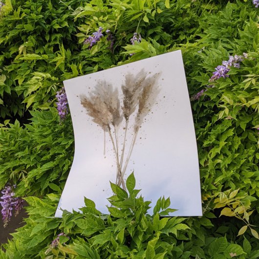 Pampas Grass ポスター