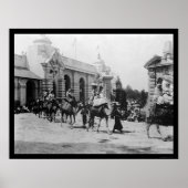 Pan Am Expo Camel Parade 1901 ポスター (正面)