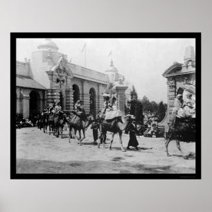 Pan Am Expo Camel Parade 1901 ポスター