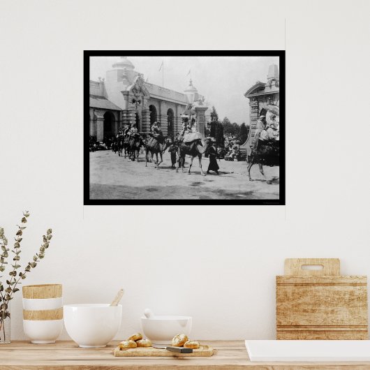 Pan Am Expo Camel Parade 1901 ポスター (キッチン)