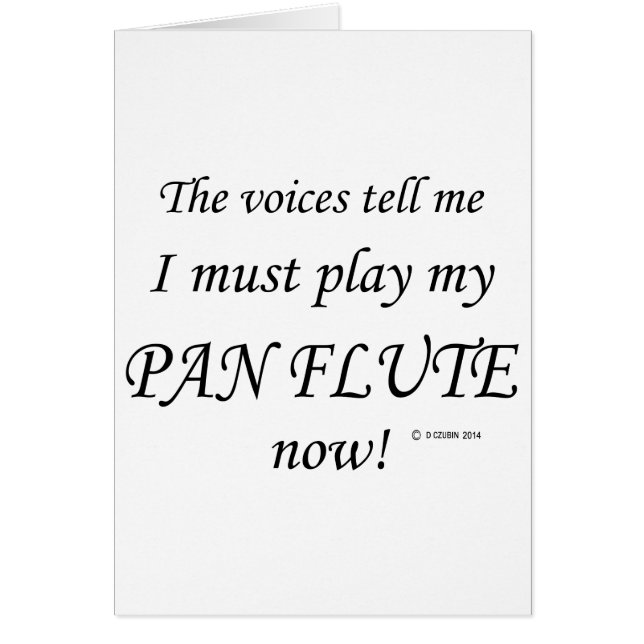 Pan Flute Voices Say Must 遊 (正面)