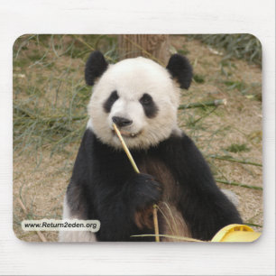 panda106コピー マウスパッド