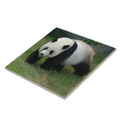 panda114 タイル (側面)