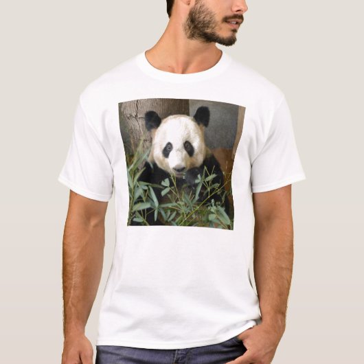 panda117 tシャツ (正面)
