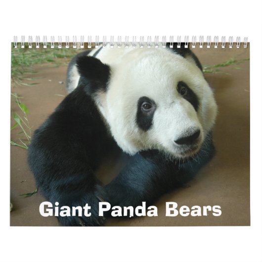 panda118のジャイアントパンダくま カレンダー (カバー)