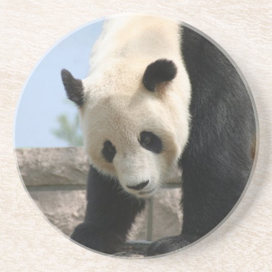 Panda20170506_by_JAMFo コースター (正面)