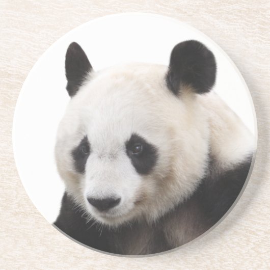 “Panda”の優良製品 コースター (正面)