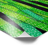 Panda – フォトプリント フォトプリント            (角)