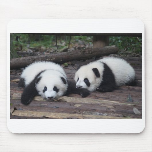 Panda マウスパッド (正面)