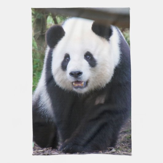 Panda_20190301_by_JAMFoto キッチンタオル (縦)