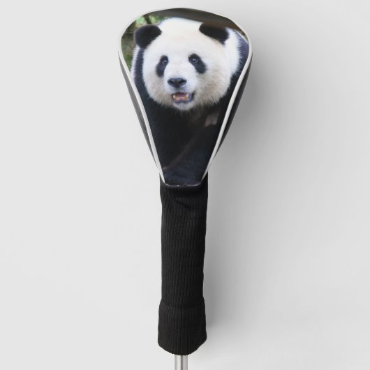 Panda_20190301_by_JAMFoto ゴルフヘッドカバー (正面)