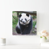 Panda_20190301_by_JAMFoto スクエア壁時計 (ホーム)