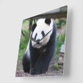 Panda_20190301_by_JAMFoto スクエア壁時計 (傾斜)