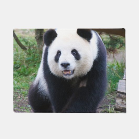 Panda_20190301_by_JAMFoto ドアマット (正面)