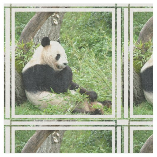 panda-4.jpg ファブリック (クローズアップ)
