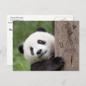 Panda Bear日付はがきを保存 案内ポストカード (正面/裏面)