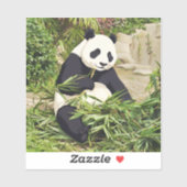 Panda eating bamboo sticker シール (シート)