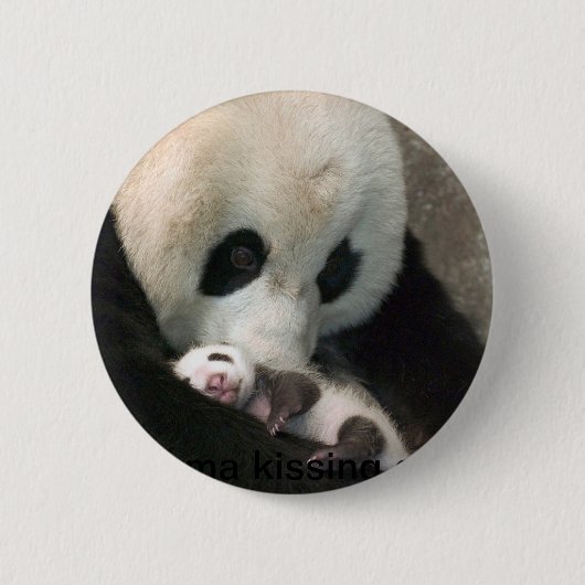 Panda kissing cub 缶バッジ (正面)