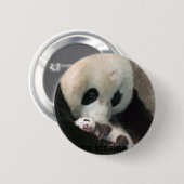 Panda kissing cub 缶バッジ (正面&裏面)
