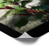 Panda Smile ポスター (角)